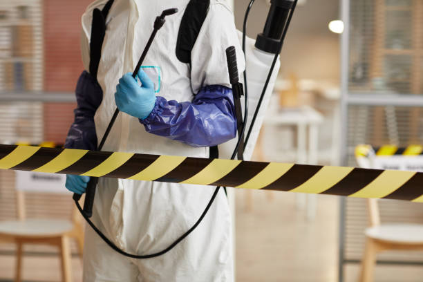 Professional Sewage Cleanup technician working in Geneva, OH